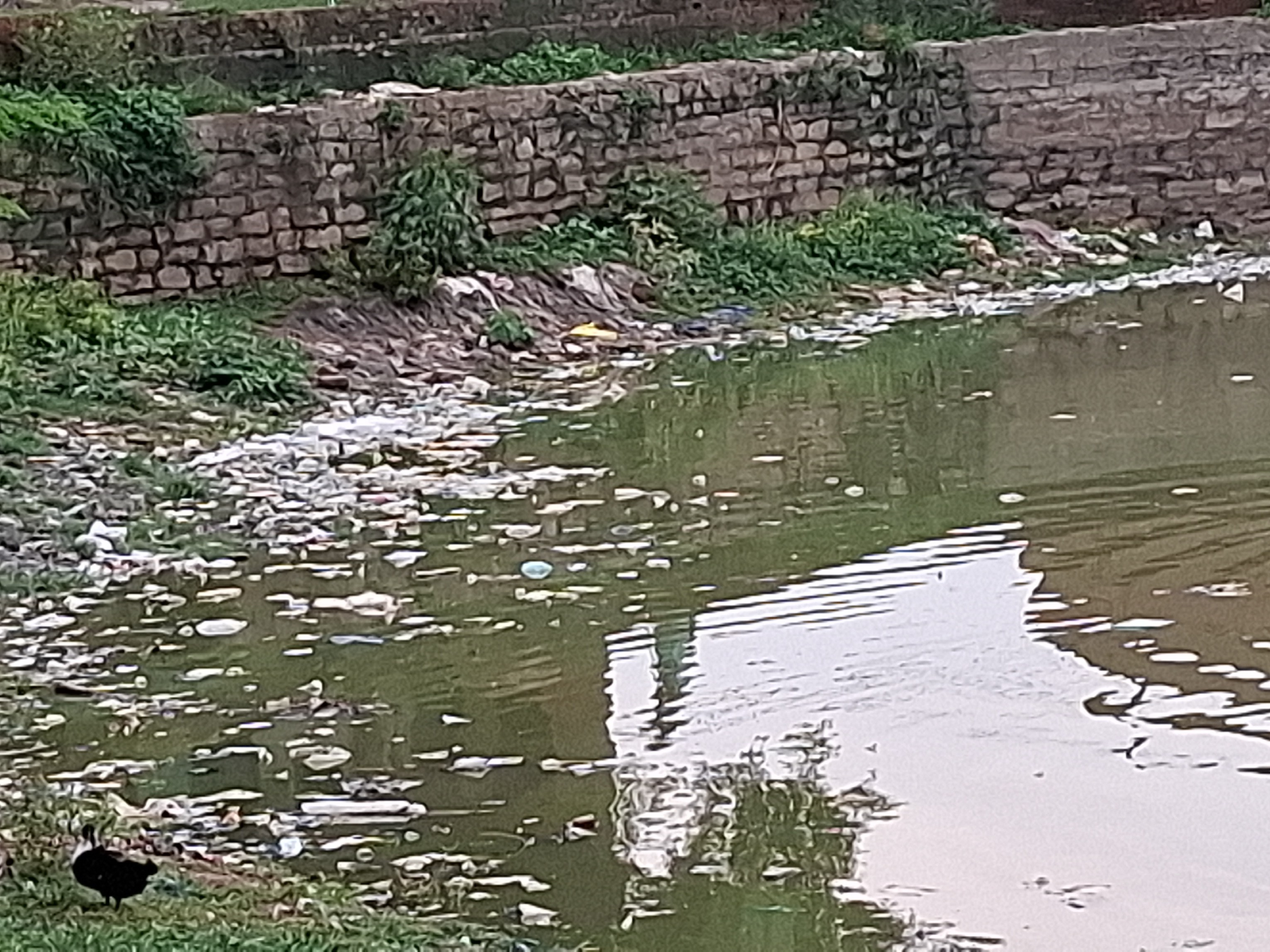 The reservoir in Alinagar Ward 5 of Mughalsarai has become a garbage ...