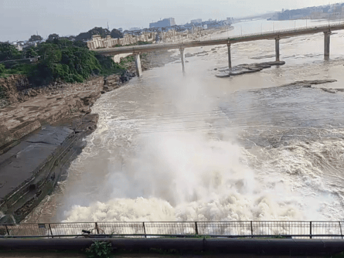 রাজস্থানের দুটি থিসল খোলা হয় এবং জল ফেলে দেওয়া হয়।