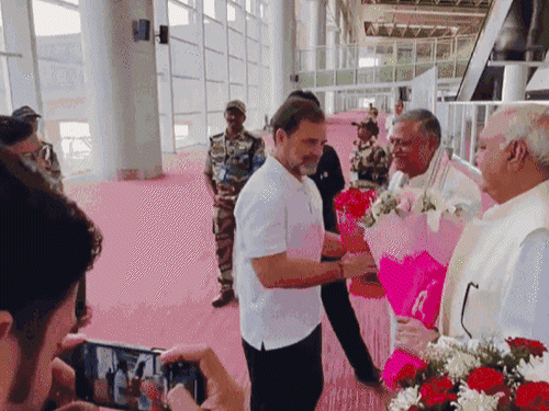 हरियाणा कांग्रेस संगठन को लेकर राहुल गांधी गंभीर हैं। वह खुद भी जिलाध्यक्षों के पैनल को लेकर चंडीगढ़ आ चुके हैं। फाइल फोटो।