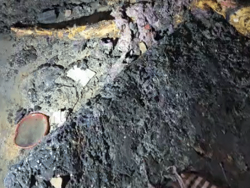 भिलाई के नंदिनी टाउनशिप में मां-बेटी की बेड पर जली हुई लाश मिली है।