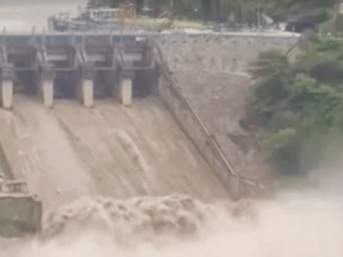 पंडोह डैम से 42 हजार क्यूसेक पानी छोड़ा गया है। जिसके बाद ब्यास में जलस्तर बढ़ने का खतरा बना हुआ है। - Dainik Bhaskar