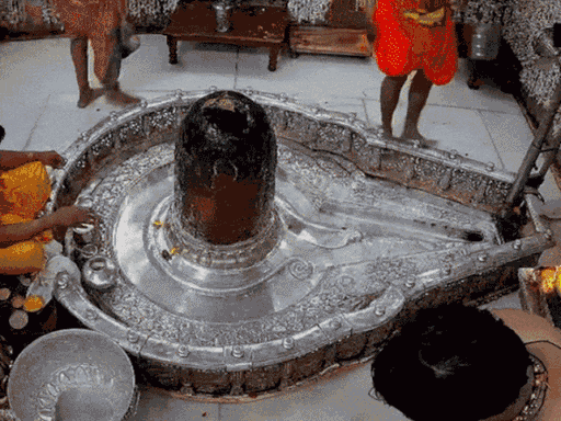 इंदौर-3 से विधायक गोलू शुक्ला और बेटे रुद्राक्ष ने महाकाल मंदिर के गर्भगृह में अनाधिकृत रूप से प्रवेश किया।