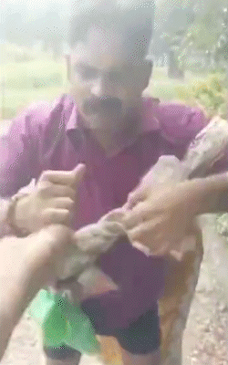 भाजपा नेता और महिला वीडियो बनने के दौरान अपना मुंह छुपा रहे थे।