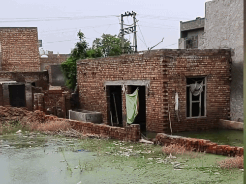 गांव पुर में जलभराव के बाद हालात