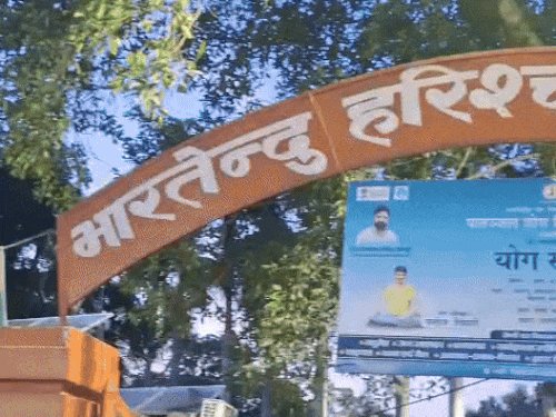 भारतेन्दु हरिश्चंद्र उद्यान में मर गईं सैकड़ों मछलियां।