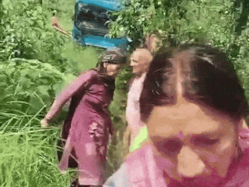 बस रस्त्यावरून एका खाडीत पडली आणि जंगलातील झाडांमध्ये अडकली.