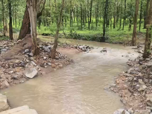 पुल बहने से पेंड्रा-केवची-अमरकंटक और अमरकंटक-केवची-बिलासपुर मेन रोड पूरी तरह से बंद हो गया है।