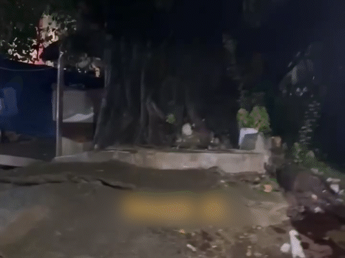 रायगढ़ में लगातार बारिश से शहर के बड़ी माई मंदिर के पास एक पुराना पीपल का पेड़ गिर गया। बिजली के तार टूटने से क्षेत्र में कई घंटे तक बिजली गुल रही।