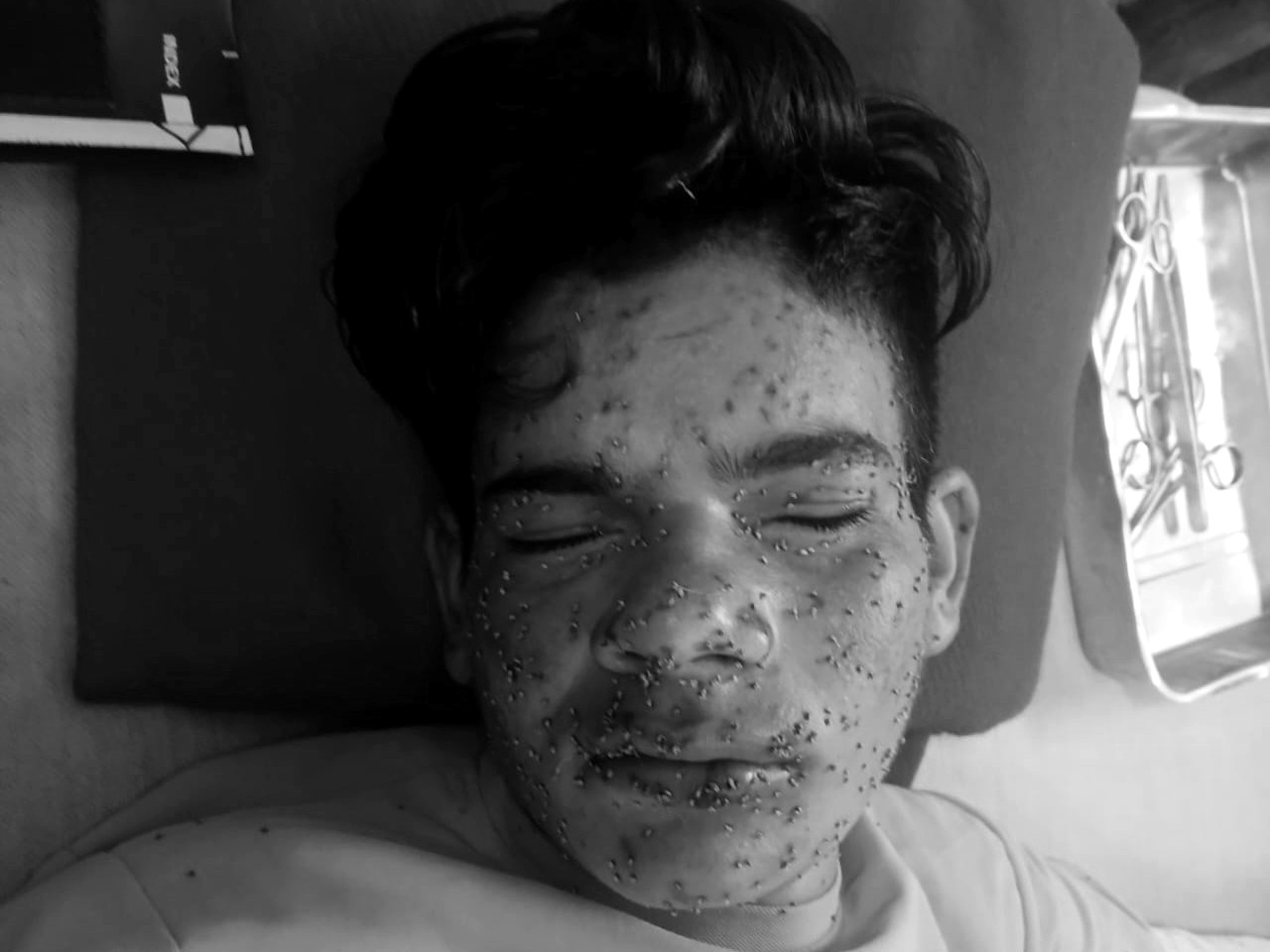 खेतड़ी के श्यामपुरा भिटेरा में शुक्रवार को माया पर मधुमक्खियों ने हमला कर दिया।