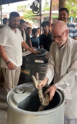 सीन-2- अजगर ने देखते ही देखते बुजुर्ग का हाथ दबोच लिया।