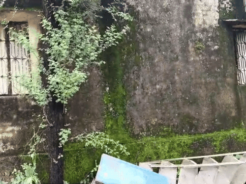 The dilapidated walls of the school were not repaired.