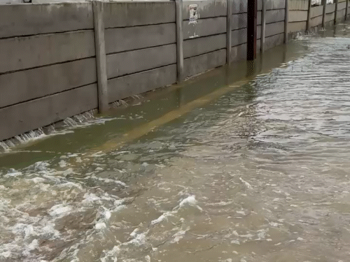 रायपुर के आमानाका इलाके में बारिश के बाद सड़क पर घुटने तक पानी भर गया।