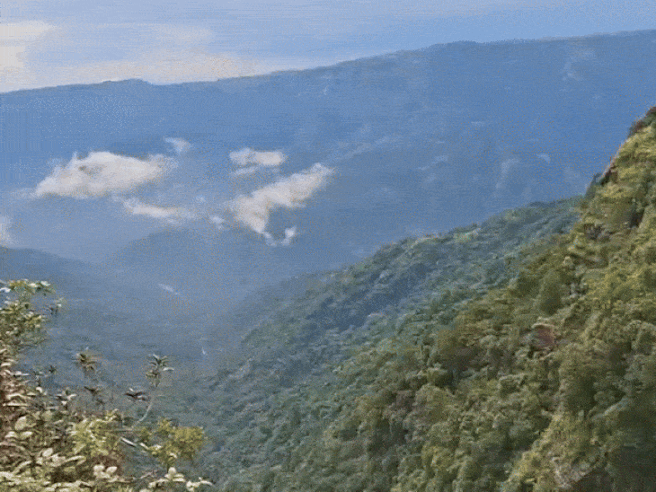 इस जगह पर हुई थी राजा की हत्या। कातिल पत्नी सोनम ही थी।