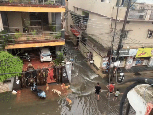शनिवार को रायपुर के प्रोफेसर कॉलोनी में सड़कों पर पानी भर गया।