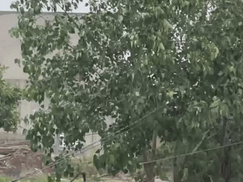 अजमेर में देर रात से रुक-रुककर बारिश हो रही है। शनिवार सुबह भी हो रही बरसात और अलर्ट के कारण स्कूलों की छुट्‌टी है।