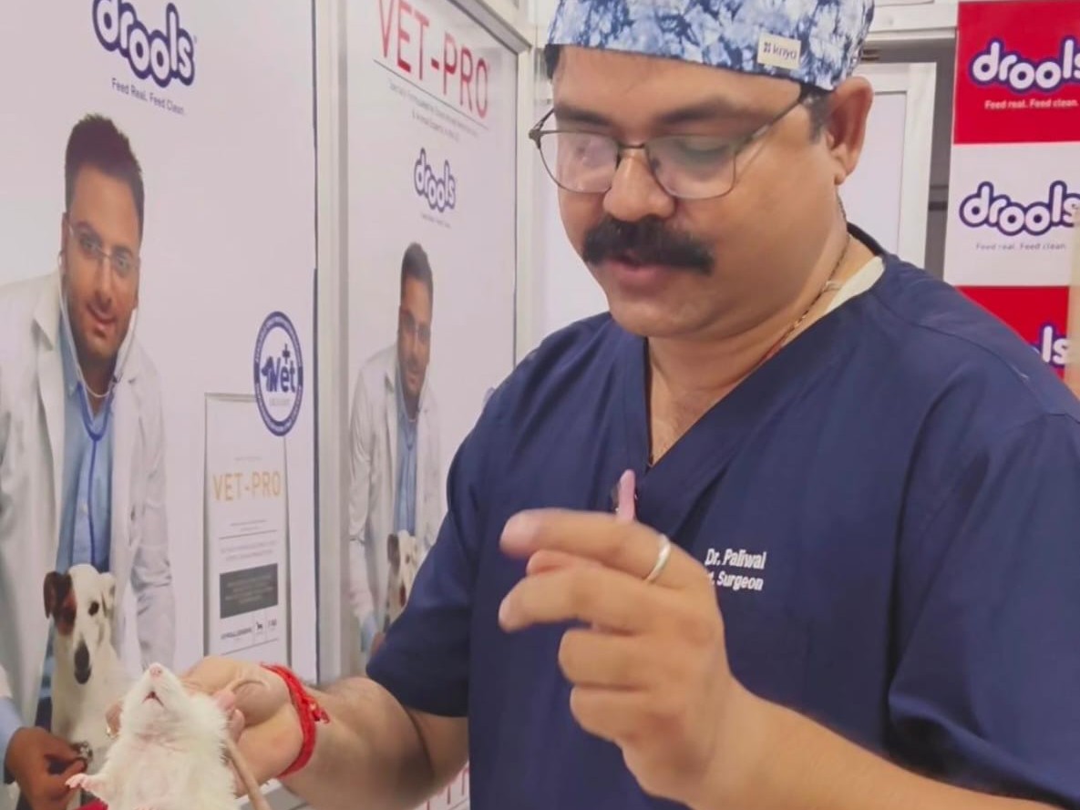 Dr. Alok Singh Gave A New Life To The Rat