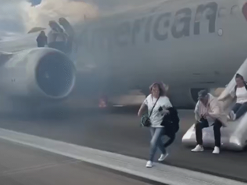 The flight brought the passengers out of the emergency slide. - Dainik Bhaskar
