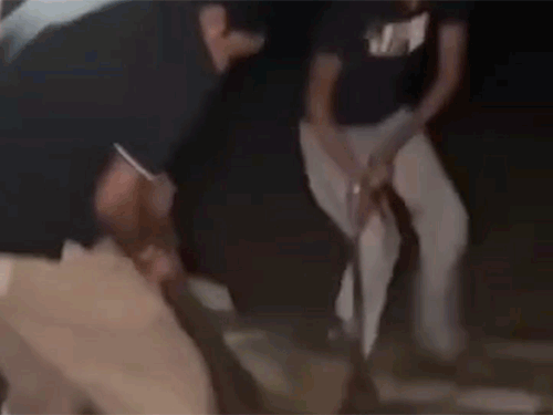 मस्तूरी-रायपुर नेशनल हाईवे पर बैठे 23 गायों को कुचल दिया। गौ सेवकों ने सड़क से उठाया।