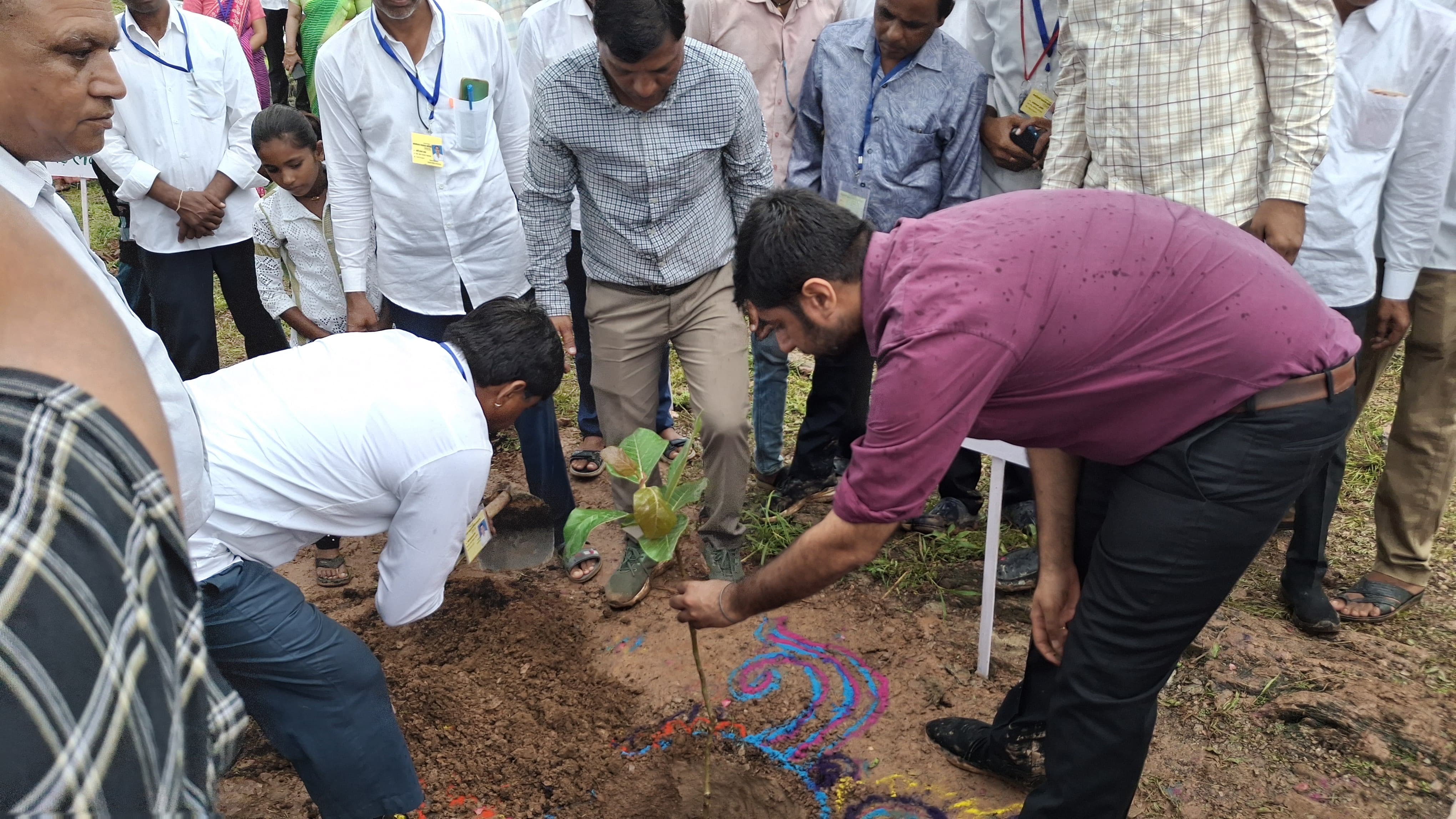 पौधारोपण करते कलेक्टर जसमीत संधू।