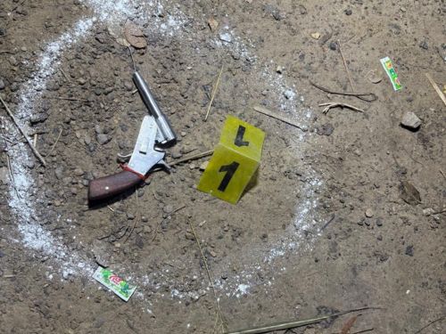 पुलिस को आरोपी के पास से देसी कट्टा भी बरामद हुआ है।