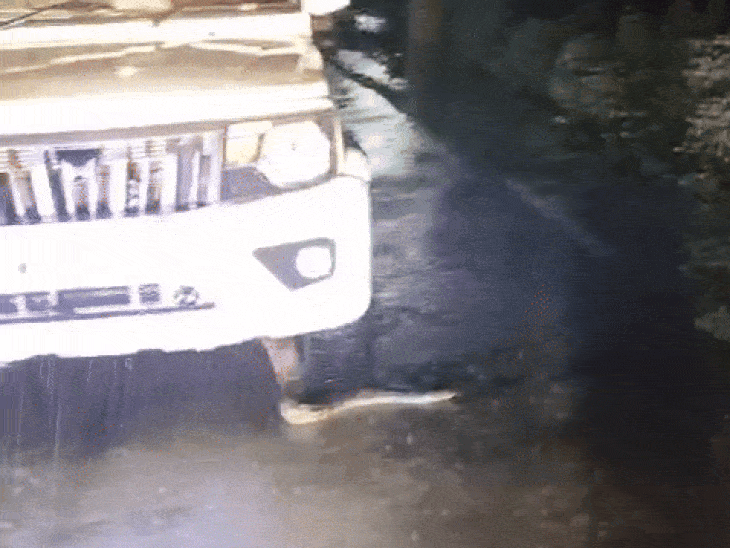 A 12 feet long python entered a police vehicle, VIDEO | पुलिस की जीप ...