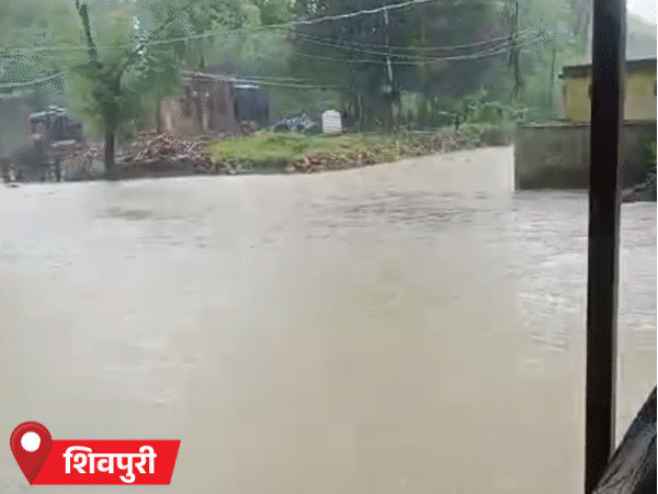 शिवपुरी के गुरुकुदवाया गांव में स्कूल परिसर में तीन फीट तक पानी भर गया है।