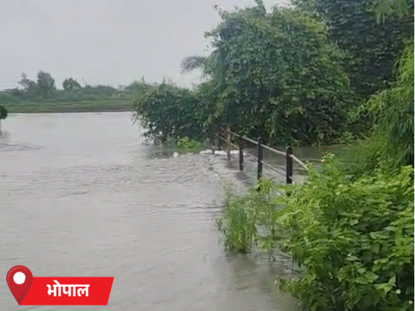 भोपाल में मिसरोद को बगली, कटारा हिल्स, बर्रई और रापड़िया को जोड़ने वाली सड़क पर नाला ओवरफ्लो हो गया। इससे इन इलाकों का संपर्क टूट गया।