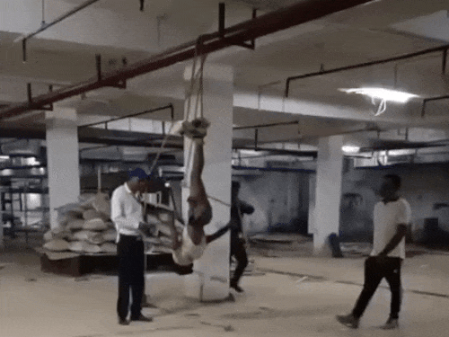 In the video, the person is being beaten up with plastic pipes by hanging upside down.
