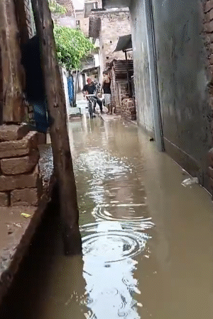 सुल्तानपुर में पूरी रातभर बारिश हुई है। लोगों के घरों के बाहर 2-2 फीट पानी भरा हुआ है।