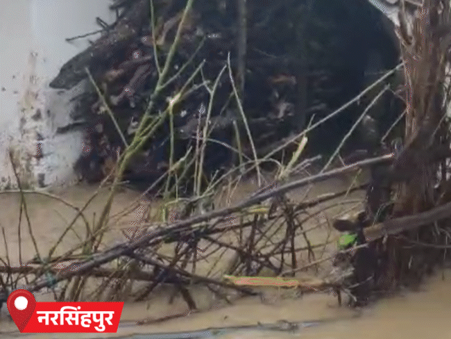 नरसिंहपुर के पानी में गांव डूब गए हैं। यहां कई कच्चे मकान भी गिर गए हैं।