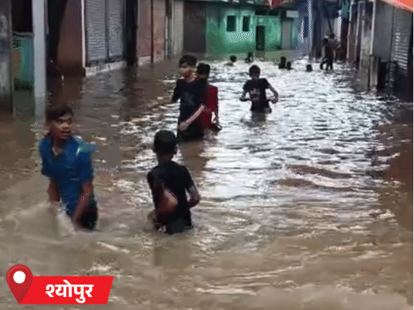 श्योपुर में कॉलोनियों में भरे पानी में बच्चे इस तरह मस्ती करते नजर आए।
