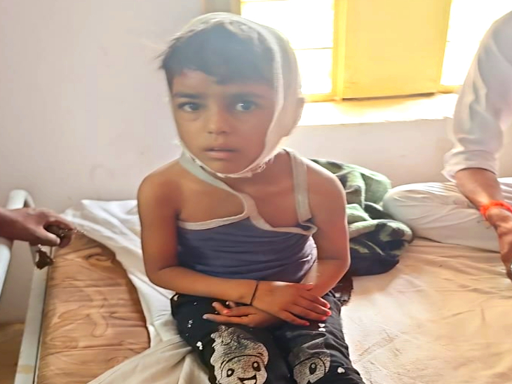 हादसे में घायल पहली क्लास की बच्ची प्रिया।