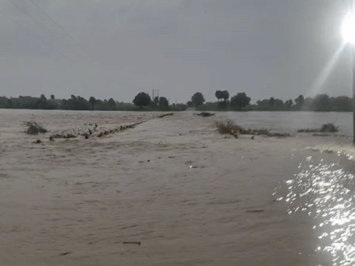 कोटा में लगातार बारिश के चलते बारां-झालावाड़ हाईवे पर स्थित बपावरखुर्द के पास परवन नदी की पुलिया पर 4 फीट पानी आ गया।