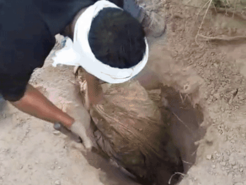 रेड के दौरान 200 बोतल अवैध शराब और 15000 लीटर लाहन बरामद। - Dainik Bhaskar