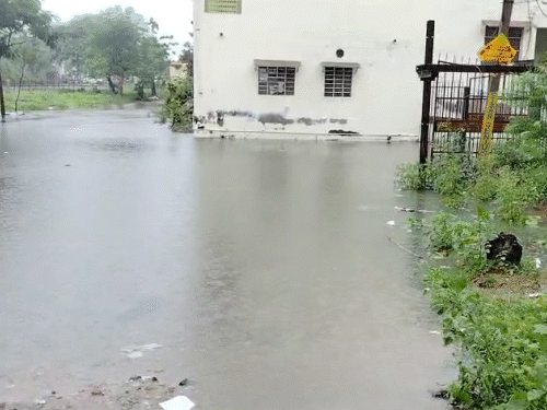 करतारपुरा इलाके में घरों के बाहर पानी भर गया।