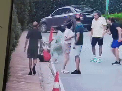 The woman fell down due to the dog's attack. The dog caught the woman's hand in the jaw. The mistress continued to pull the dog, but she did not leave the woman's hand.