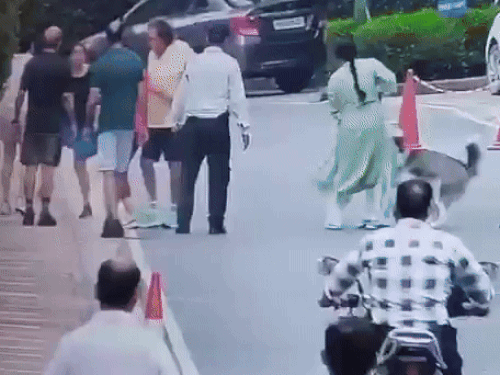 The dog was not ready to leave from there, although the mistress took her from there. After this, the woman who became a victim of the dog was rushed to the hospital.