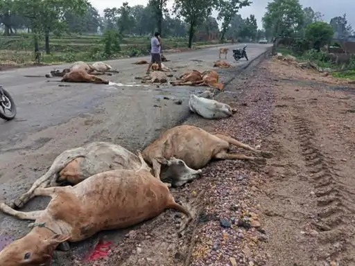 जिले में लगातार हो रहे हादसे।