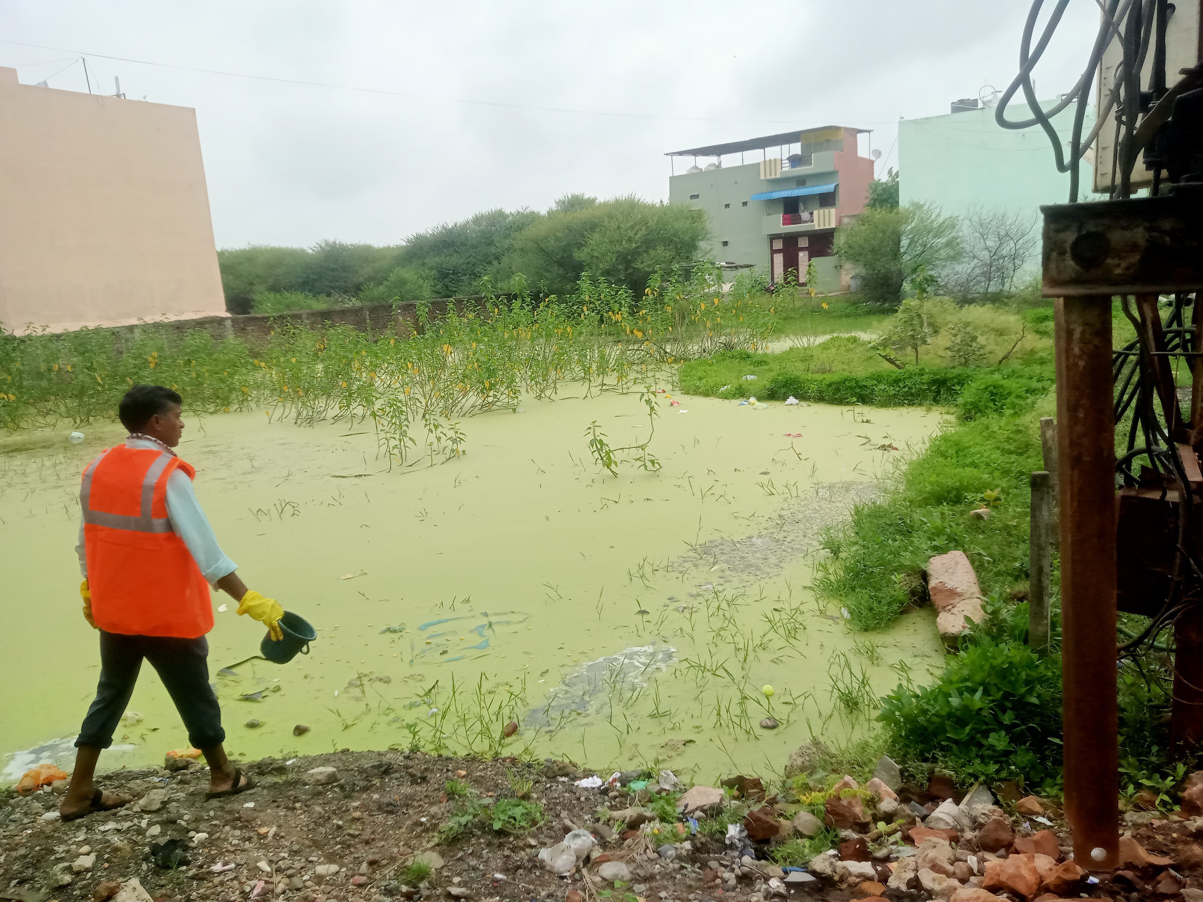 दवा छिड़काव करने से बीमारियों का खतरा कम होगा।