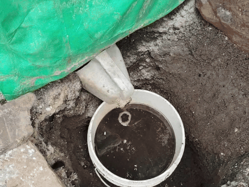 भंवरलाल ने खेत में ही जैविक स्प्रे का प्लांट लगा रखा है। एक जगह नीम की पत्तियां, गोबर आदि इकट्‌ठा करते हैं। उसमें से बूंद-बूंद जैविक स्प्रे छनकर दूसरी जगह जमा हो जाता है।