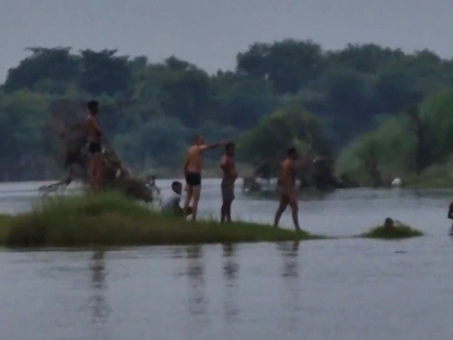 The driver-cleaner was swept away with a mini truck in Dholpur. There were also contractors and laborers in this vehicle. Seeing the danger, both had already jumped. Both were rescued and seated in the island -like place in the middle of the river.