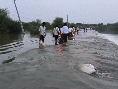 In Jasnagar in Nagaur district, the administration has had to close the National Highway-458 for the third time in the last 12 days. This has cut the contact with Nagaur's Pali and Beawar districts. The water of the Luni river is flowing 6 inches above the Jasnagar report.