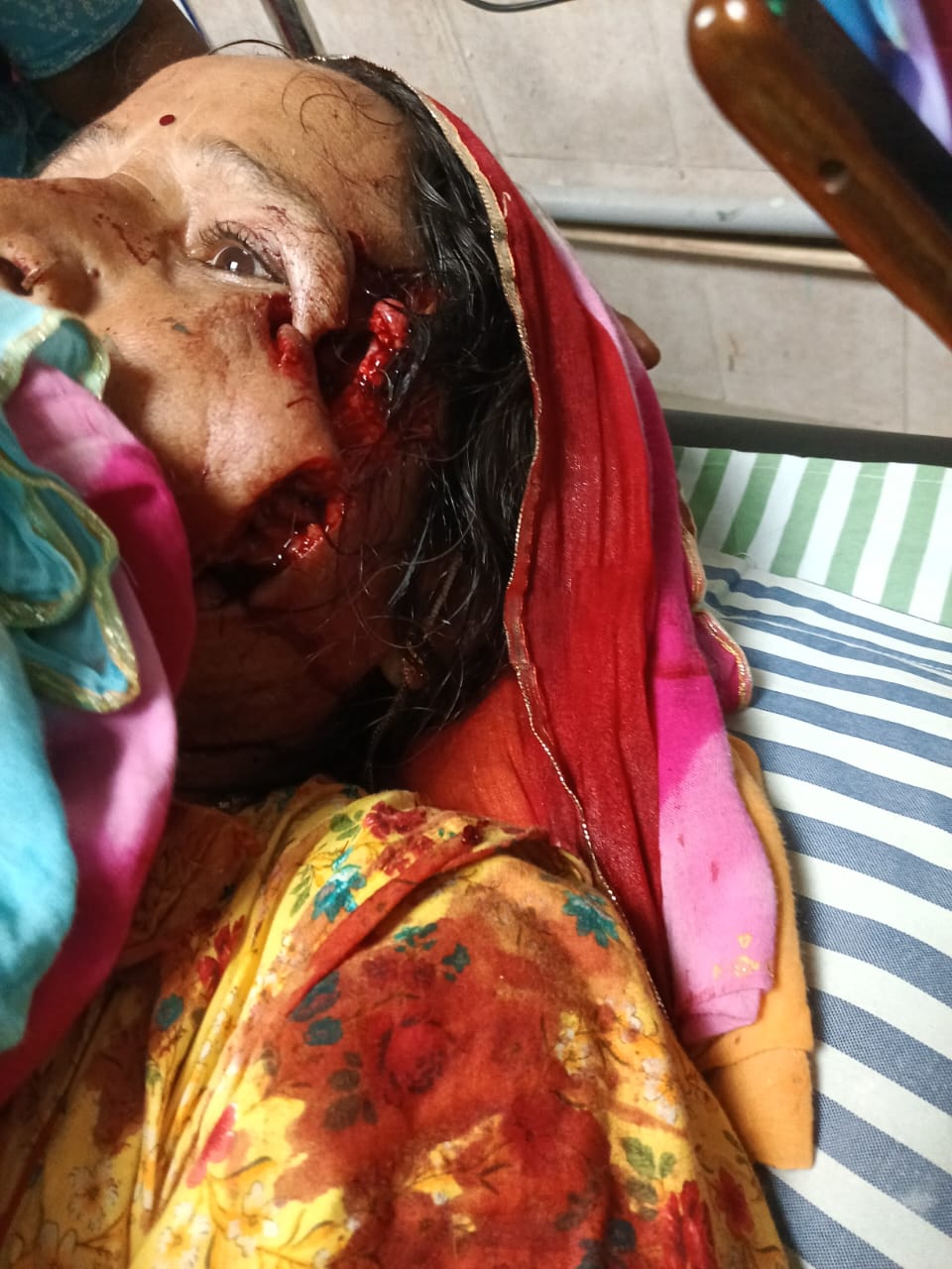 रामपुरा गांव में सांड का आतंक