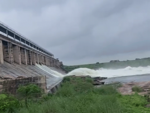 धौलपुर में पार्वती बांध के सीजन में चौथी बार गेट खुले हैं। शाम 6:30 बजे बांध के चार गेट खोलकर 4401 क्यूसेक पानी की निकासी की जा रही है।