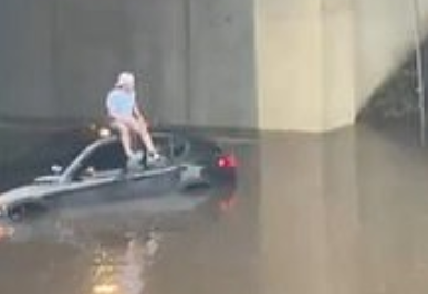 Due to floods in New York, the car got stuck in the middle way. To save his life, the clever climbed on the car.