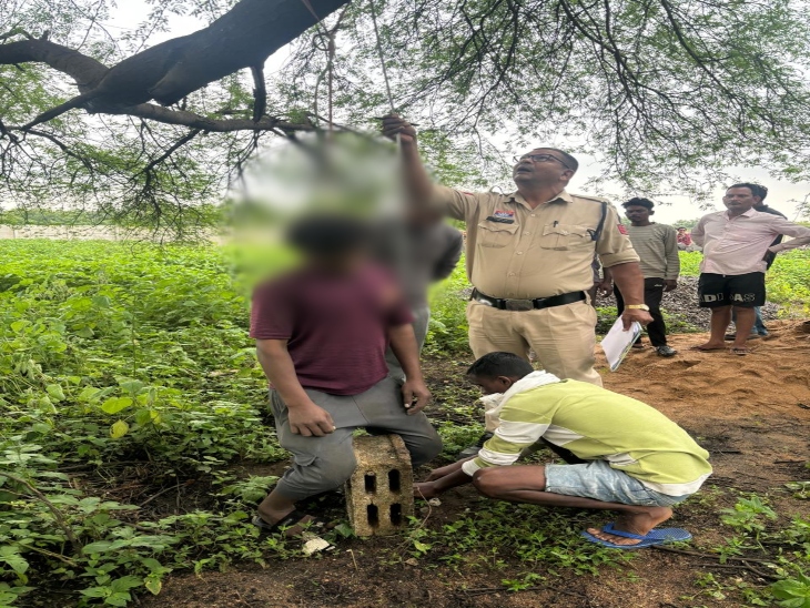 Raipur News: रायपुर में पेड़ पर लटकी मिली युवक की लाश, आत्महत्या की आशंका, जांच में जुटी पुलिस