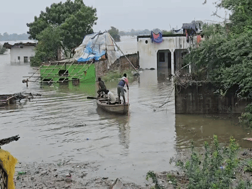 यमुना और चंबल नदी के उफान से औरैया में सड़क पर नाव चलती हुई।