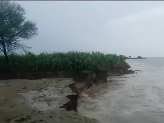 सरयू और घाघरा नदी के बढ़ते जलस्तर के कारण फसल डूब रही है।