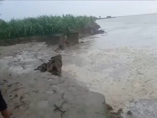 सरयू और घाघरा नदी के बढ़ते जलस्तर के कारण फसल डूब रही है। - Dainik Bhaskar