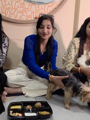 डॉग्स के लिए बिना तेल, बिना मिर्च, मसाले के डॉग फूड से दाल, बाटी और चूरमा तैयार करवाए गए।